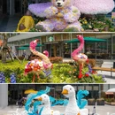 上海旅游 缩略图 11