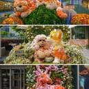 上海旅游 缩略图 12