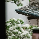 福州旅游 缩略图 2