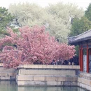 北京旅游 缩略图 6