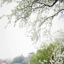 北京旅游 缩略图 15