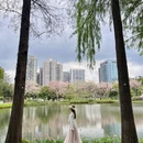 深圳旅游 缩略图 3