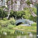 深圳旅游 缩略图 12