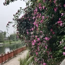 合肥旅游 缩略图 17