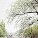 北京旅游 缩略图 14