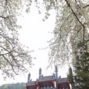 北京旅游 缩略图 4