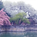 北京旅游 缩略图 17