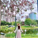 深圳旅游 缩略图 8