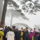 黄山旅游 缩略图 3