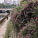 合肥旅游 缩略图 15