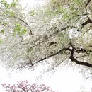北京旅游 缩略图 8