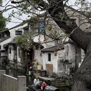 绍兴旅游 缩略图 4