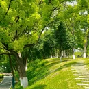宜昌旅游 缩略图 9