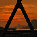 上海旅游 缩略图 3
