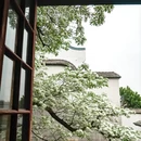 福州旅游 缩略图 5
