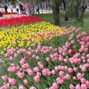 北京旅游 缩略图 1