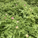 北京旅游 缩略图 10