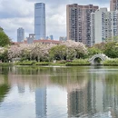 深圳旅游 缩略图 16