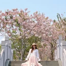 深圳旅游 缩略图 4