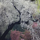 北京旅游 缩略图 18