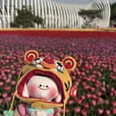 太原旅游 缩略图 2