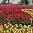 太原旅游 缩略图 7