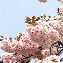 北京旅游 缩略图 5