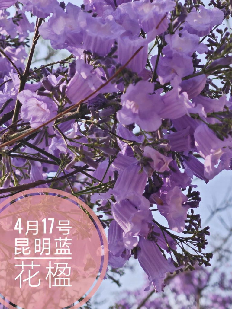 昆明旅游