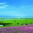 上饶旅游 缩略图 18