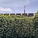 西安旅游 缩略图 3