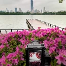南京旅游 缩略图 5