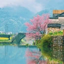 黄山旅游 缩略图 4