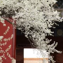 北京旅游 缩略图 6