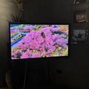 宁波旅游 缩略图 3