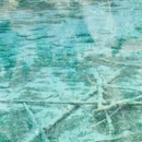 阿坝旅游 缩略图 4