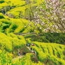 上饶旅游 缩略图 4