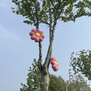 南京旅游 缩略图 10