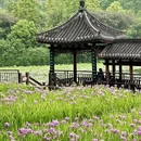 重庆旅游 缩略图 6