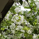 北京旅游 缩略图 11