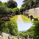 南京旅游 缩略图 8