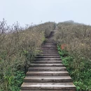 长沙旅游 缩略图 10