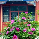 北京旅游 缩略图 6