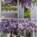 北京旅游 缩略图 3