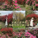 成都旅游 缩略图 1