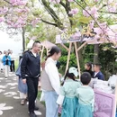 宁波旅游 缩略图 2