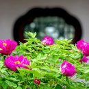 北京旅游 缩略图 10