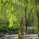 北京旅游 缩略图 7