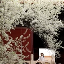 北京旅游 缩略图 1