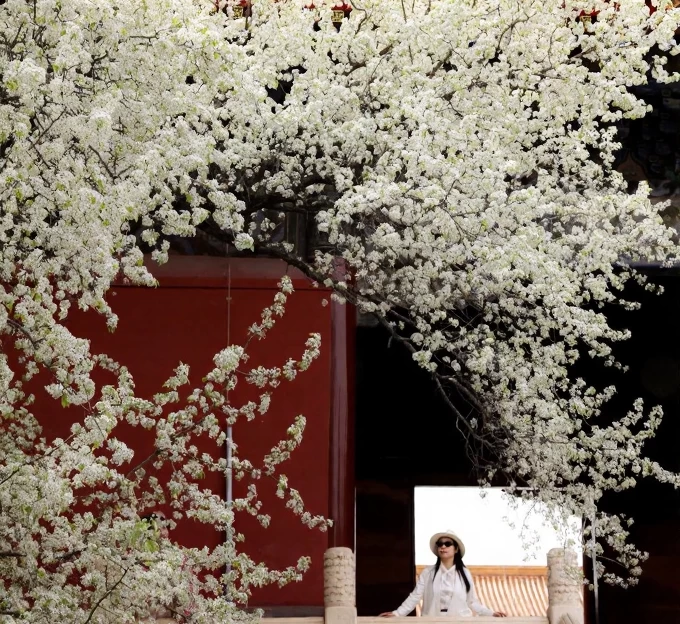北京旅游 1
