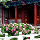 北京旅游 缩略图 9